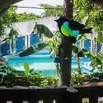 Hotel Raices De La Guajira